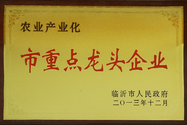 市重點(diǎn)龍頭企業(yè)